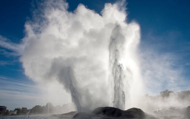 Geyser erupting in Rotorua, New Zealand during a guided tour from Auckland.
