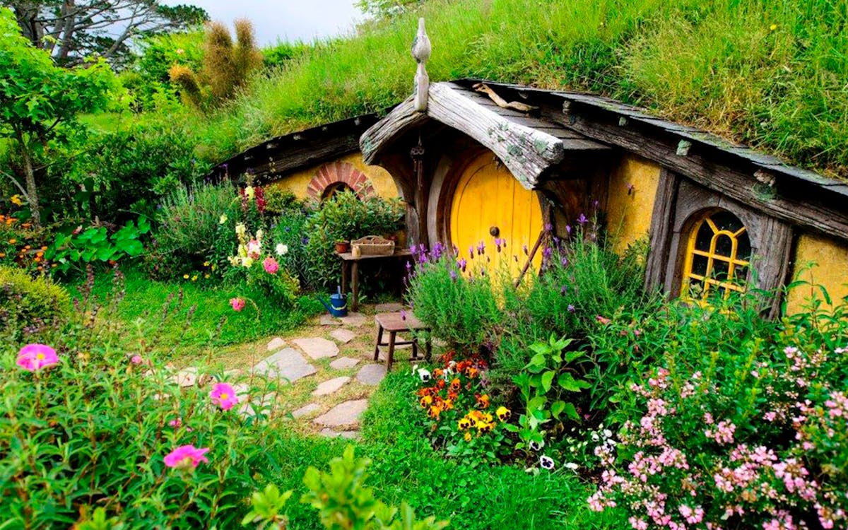 auckland to hobbiton movie set private tour-3 auckland to hobbiton movie set private tour-3
