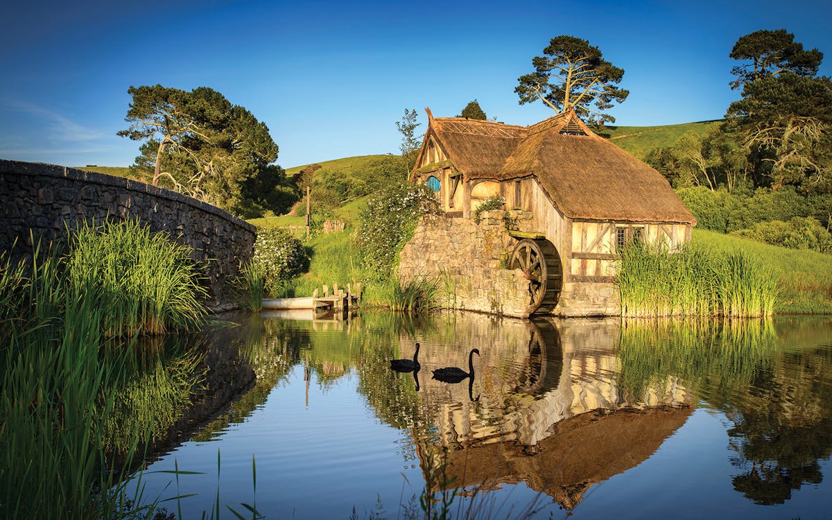auckland to hobbiton movie set private tour-1 auckland to hobbiton movie set private tour-1