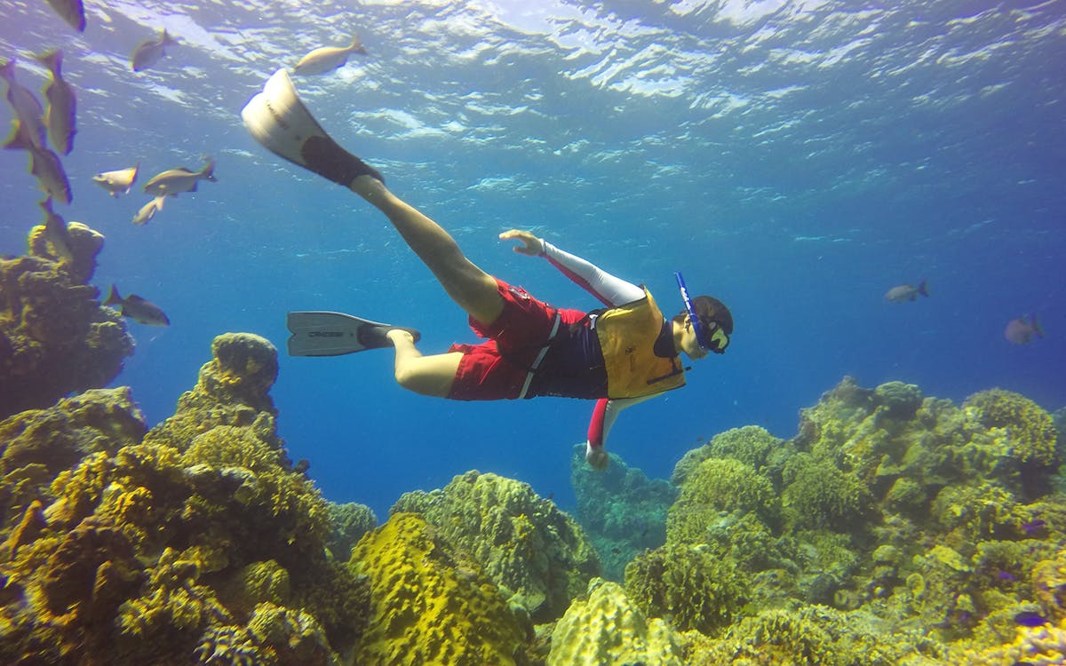 snorkeling tour at cozumel island with lunch-6 snorkeling tour at cozumel island with lunch-6