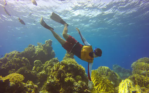 Snorkeler exploring coral reef at Cozumel Island.