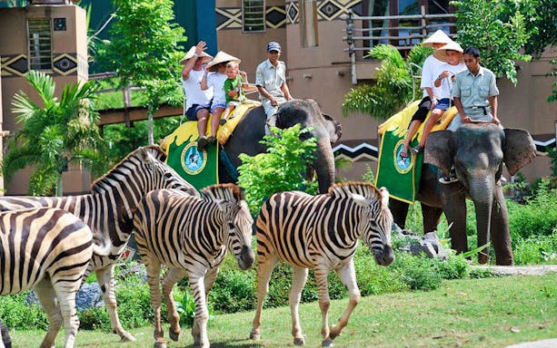 Elephant ride with zebras at Bali Safari Explorer.
