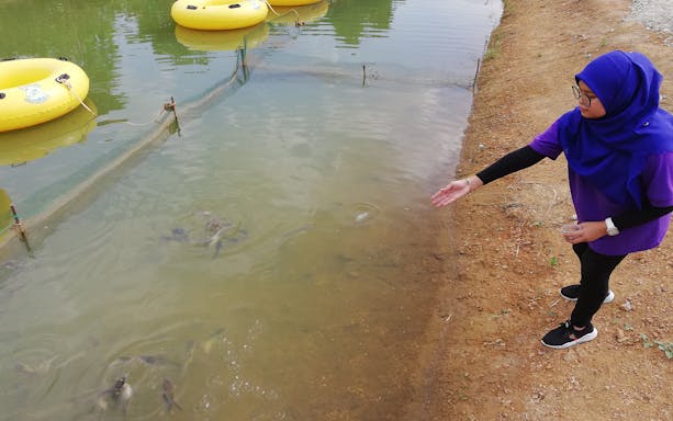 Person feeding fish at Melaka Wonderland Water Theme Park lake.