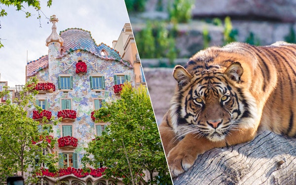 Combo : Casa Batlló + Barcelona Zoo Tickets
