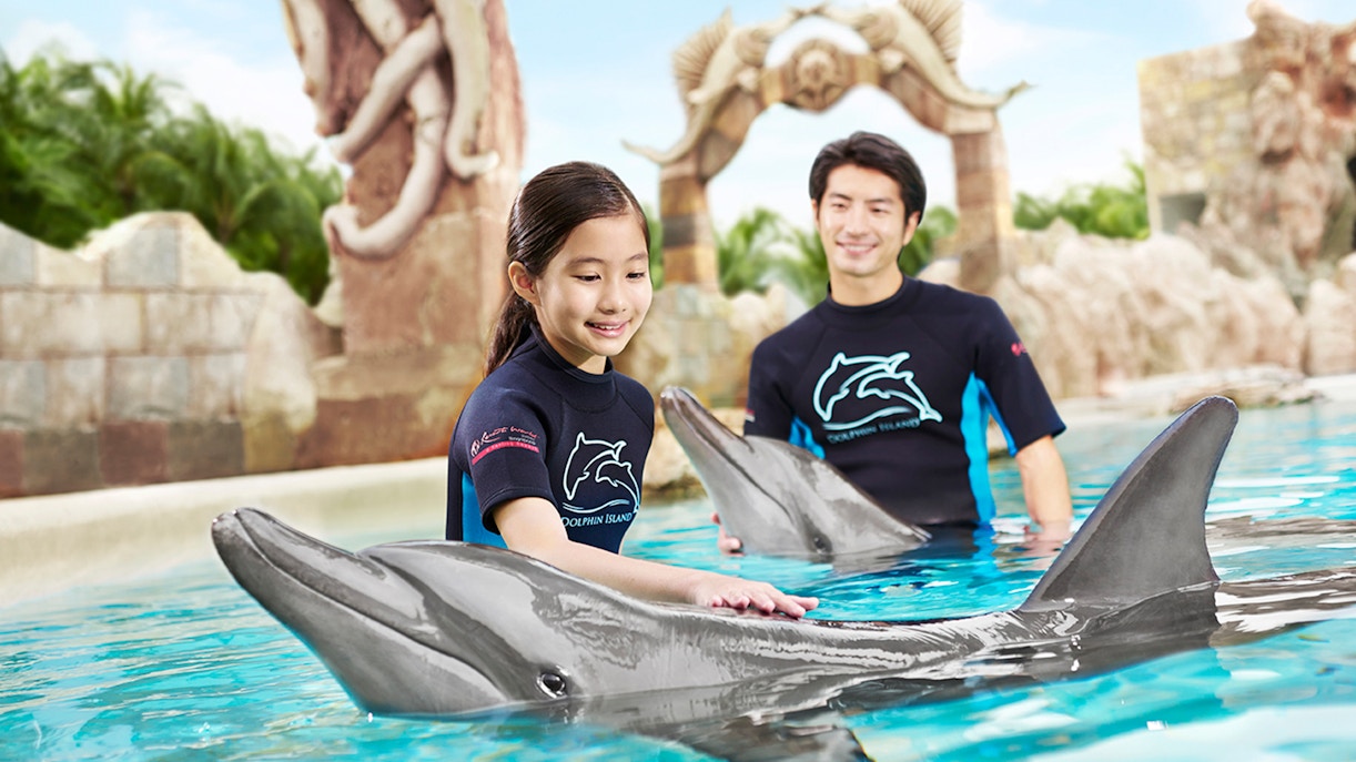 Dolphin Island Singapore