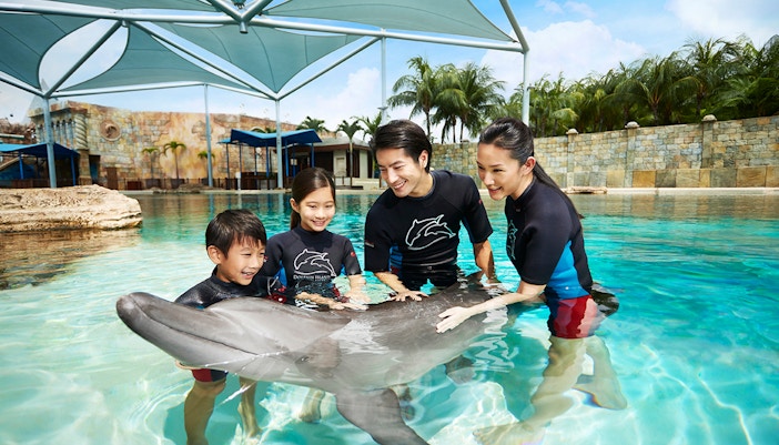 Dolphin Island Singapore