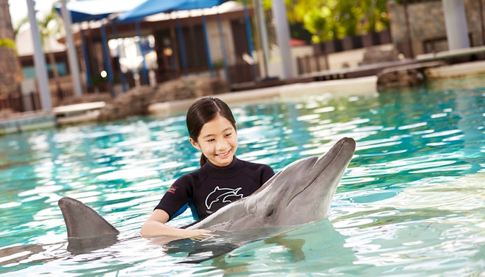 Dolphin VIP