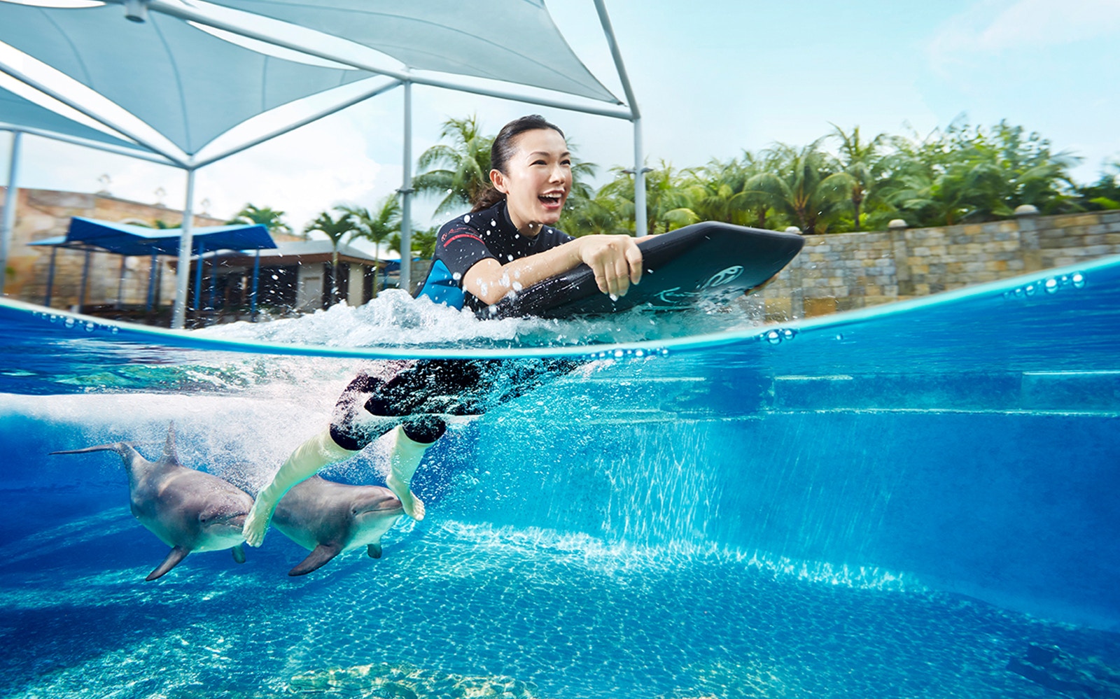 A dolphin pulling a lady on a bodyboard.