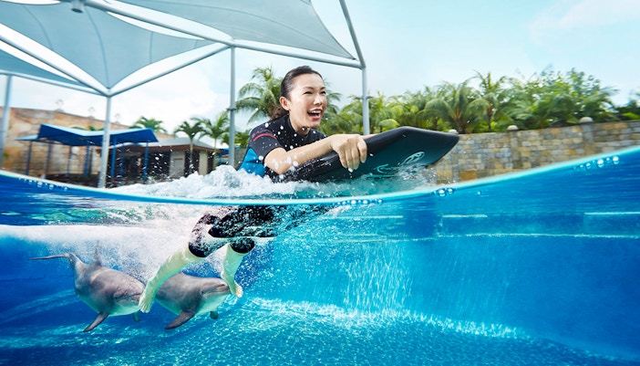 Dolphin Island Singapore - Dolphin Adventure