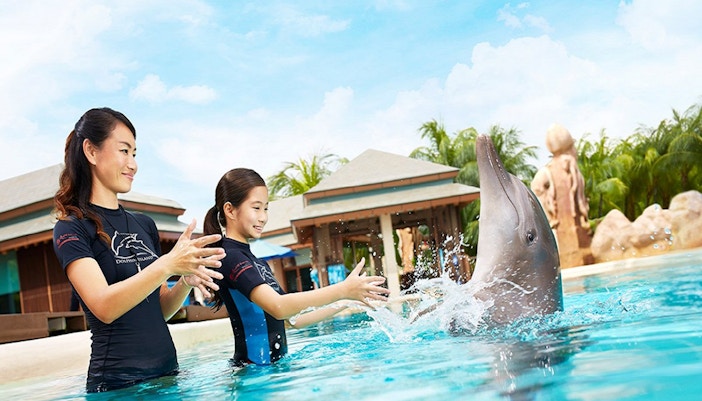 Dolphin Island Singapore - Trainer for a Day