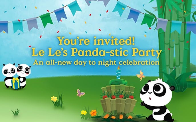 Pandas celebrating with gifts and decorations at River Wonders event.