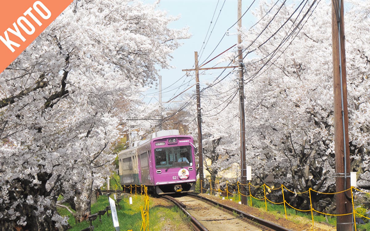 have fun in kansai 1 week pass-4 have fun in kansai 1 week pass-4