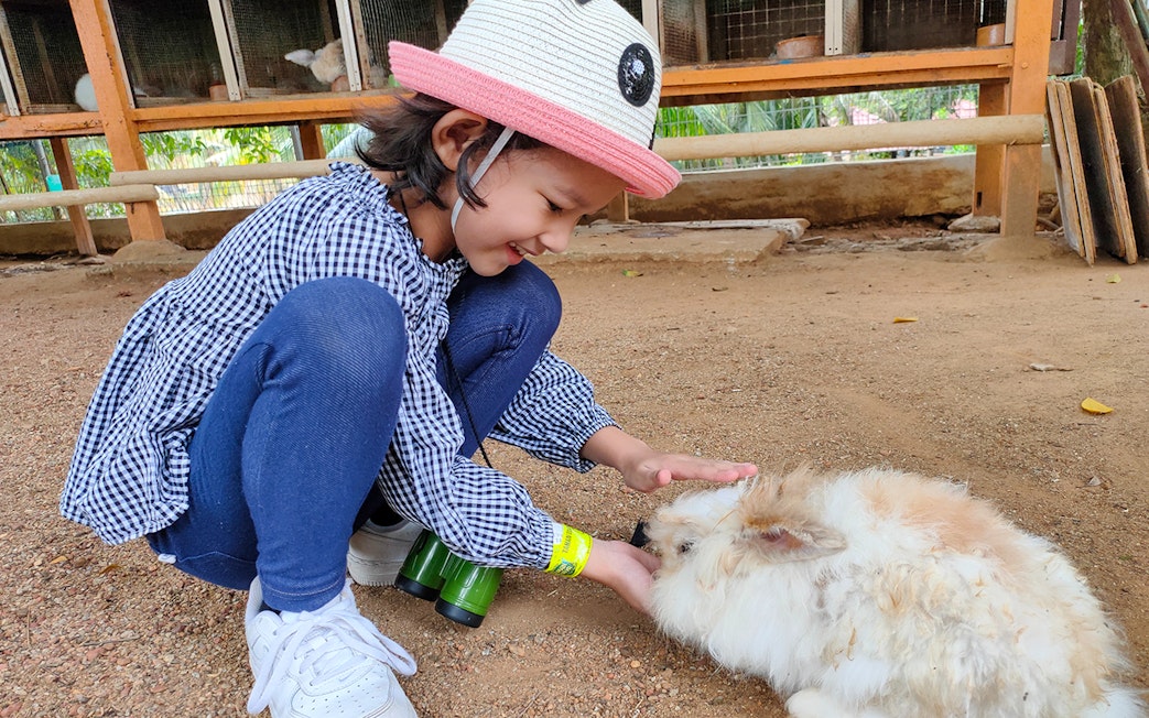 Child petting a rabbit at Zoo Melaka, Malaysia.