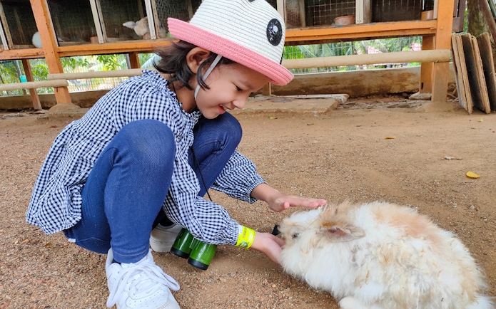 Child petting a rabbit at Zoo Melaka, Malaysia.