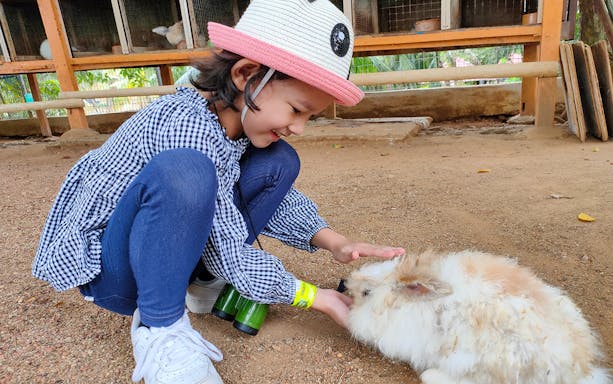 Child petting a rabbit at Zoo Melaka, Malaysia.