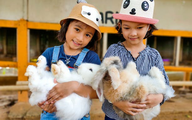 Children holding rabbits at Zoo Melaka petting area.