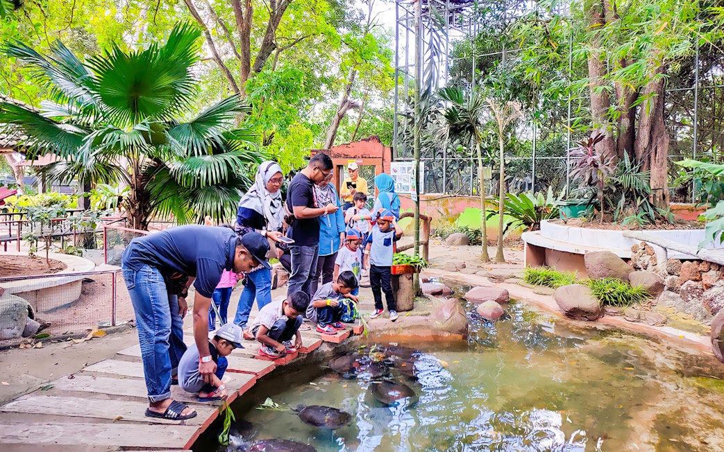 Visitors feeding fish at Zoo Melaka, surrounded by lush greenery.