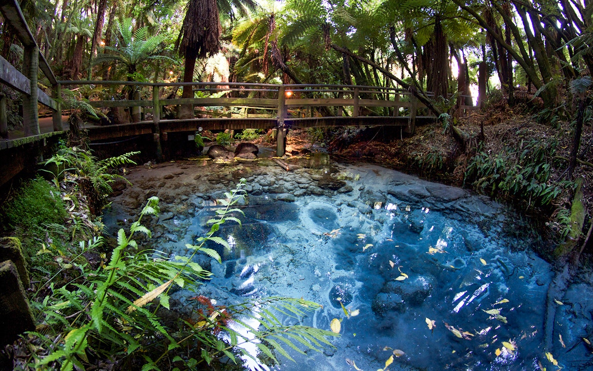 Clear spring and lush forest at Mitai Maori Village, New Zealand.