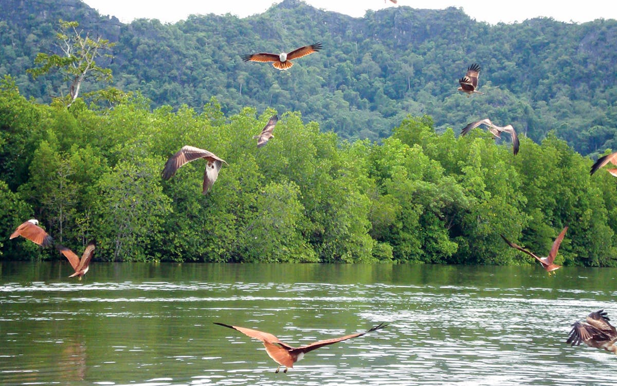 langkawi island hopping tour-5 langkawi island hopping tour-5