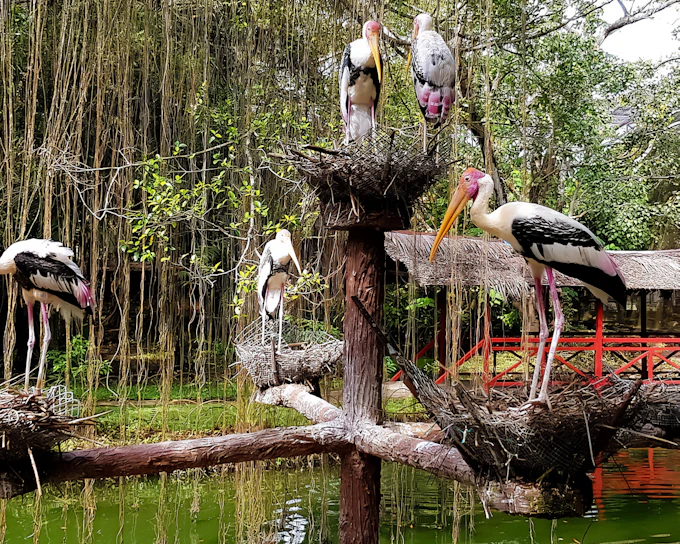 Penang Bird Park Ticket | Malaysia