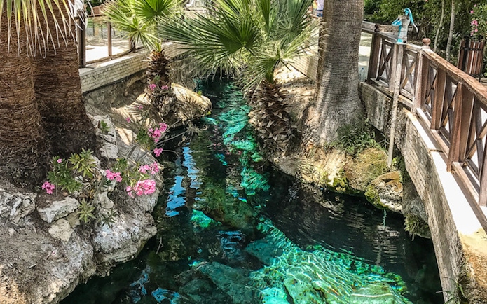 Palm trees and vibrant flowers by a clear stream in Pamukkale, Turkey.