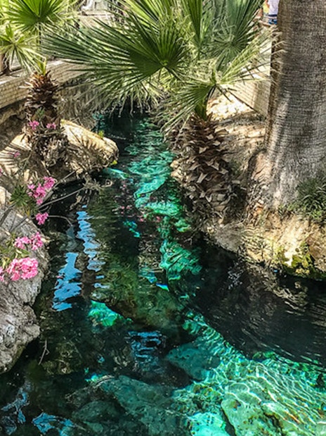 Palm trees and vibrant flowers by a clear stream in Pamukkale, Turkey.