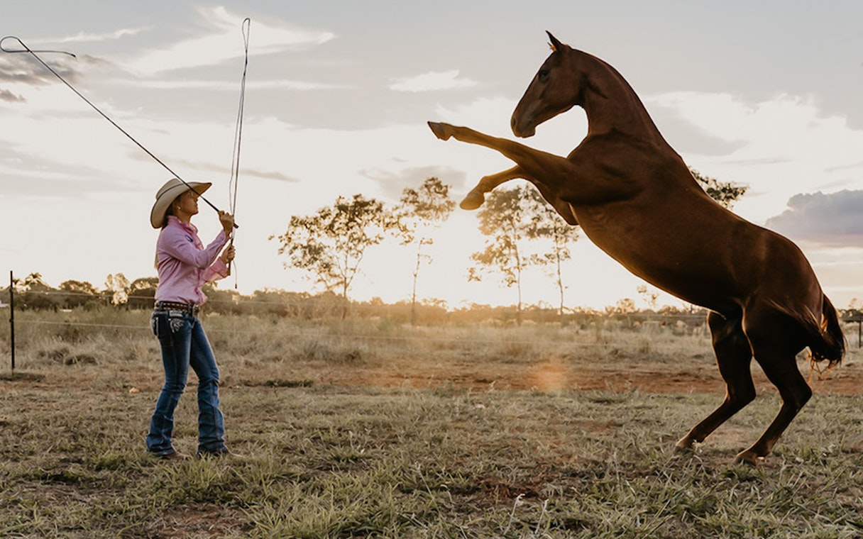 Horse rearing during Katherine Outback Experience show in Australia.