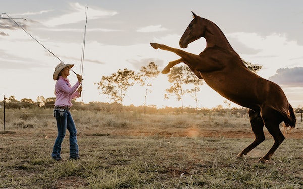 Katherine Outback Experience - 2 Hour Show