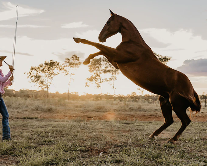 Katherine Outback Experience - 2 Hour Show