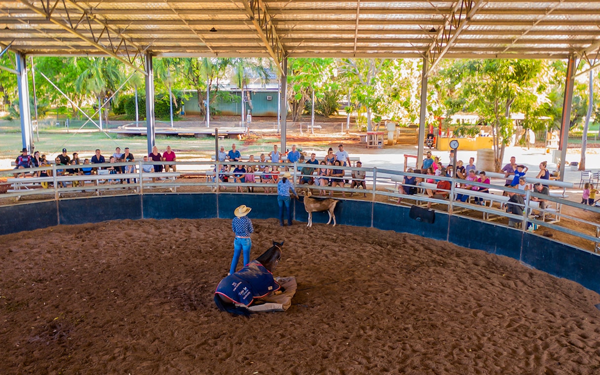 Audience watching a horse and cattle demonstration at Katherine Outback Experience.