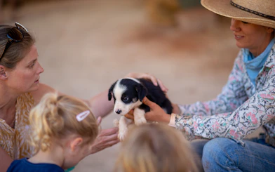 People interacting with a puppy at Katherine Outback Experience show.