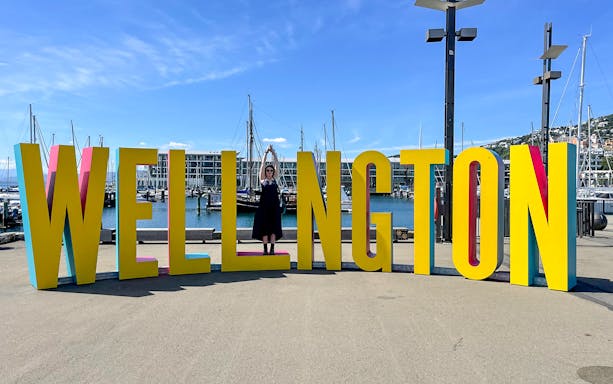 Wellington harbor with colorful sign and boats in the background.