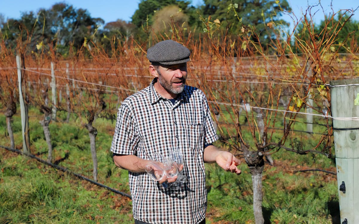 a taste of martinborough – wine delights private tour-18 a taste of martinborough – wine delights private tour-18