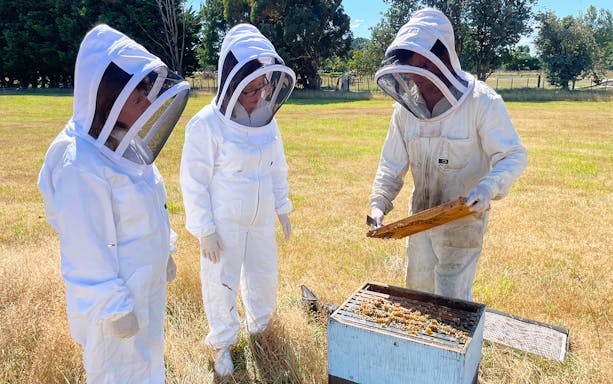 Beekeepers examining hive during Martinborough food tour.