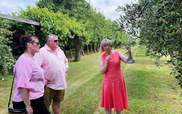 Tour group exploring olive grove on A Taste of Martinborough – Foodie Delights Private Tour.