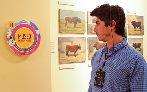 Man with audio guide viewing bull paintings at Las Ventas Museum.