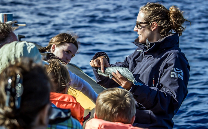 Boat tour guide showing a bird to tourists during Azores whale watching trip.