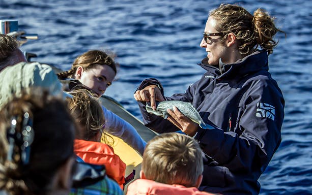 Boat tour guide showing a bird to tourists during Azores whale watching trip.