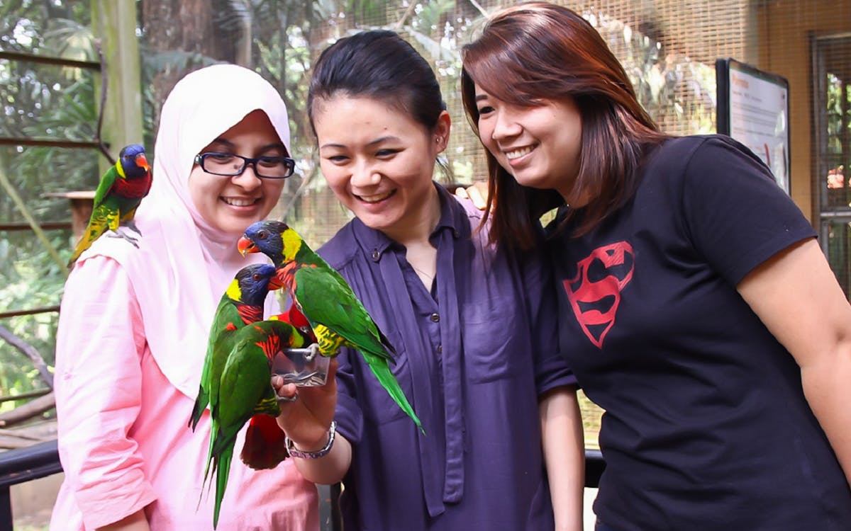 kuala lumpur city escape nature tour-1 kuala lumpur city escape nature tour-1