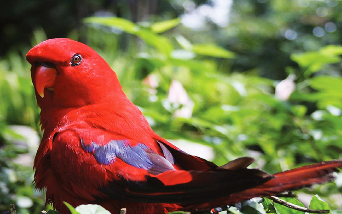 kuala lumpur city escape nature tour-6 kuala lumpur city escape nature tour-6