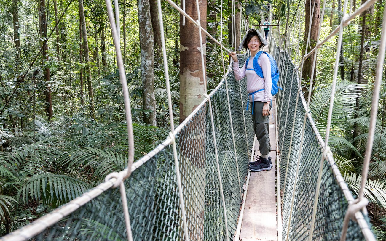 Canopy walkway in Pahang National Park, Malaysia, with a person exploring the lush rainforest.