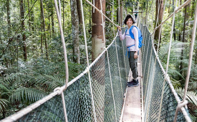 Canopy walkway in Pahang National Park, Malaysia, with a person exploring the lush rainforest.