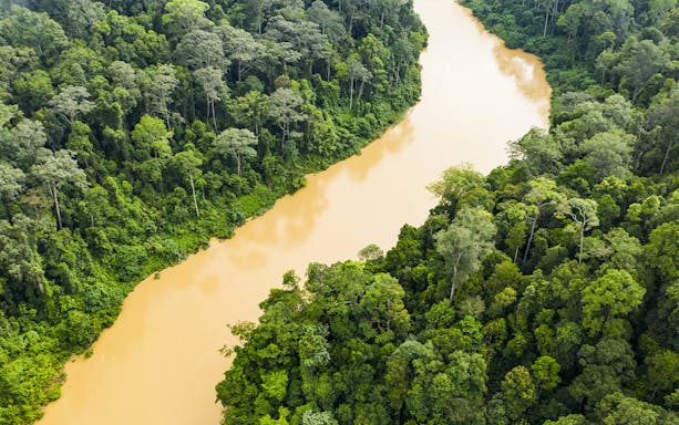 Aerial view of lush rainforest and river in Pahang National Park, Malaysia.