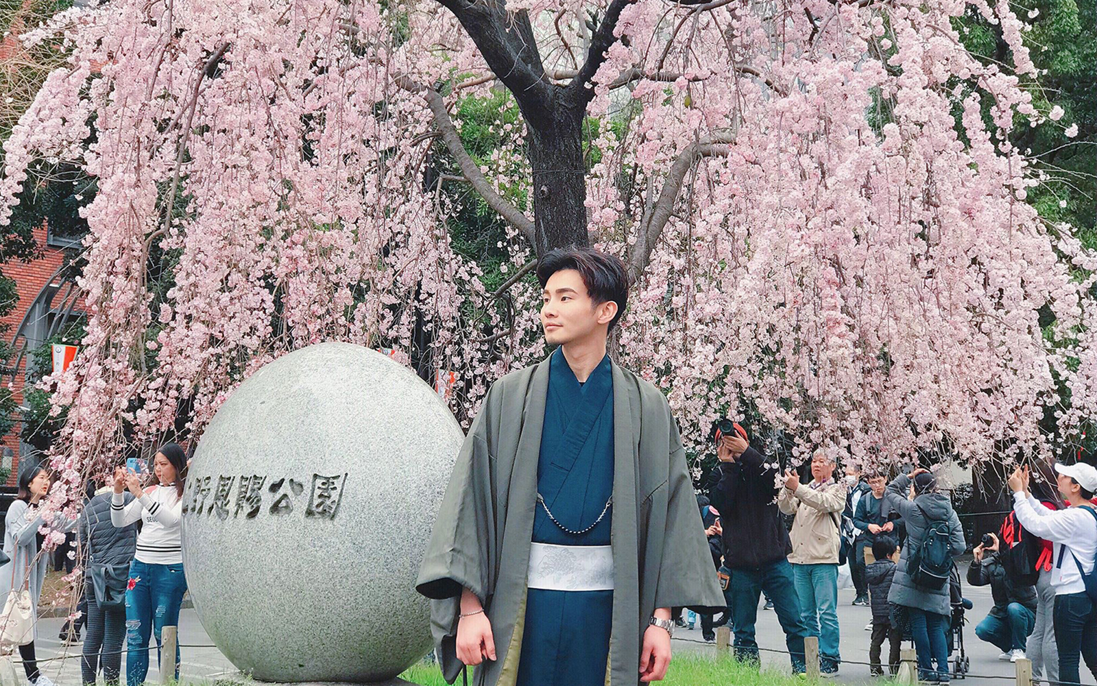Man in traditional kimono under cherry blossoms in Kyoto.