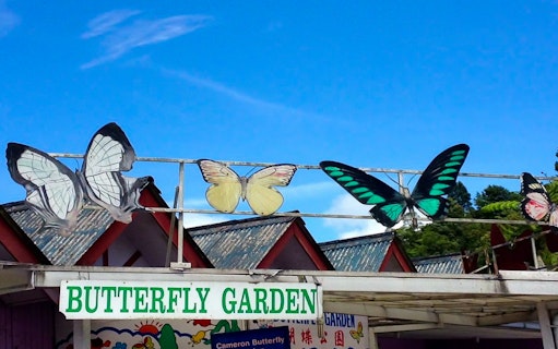Butterfly Garden entrance sign in Cameron Highlands, Malaysia.