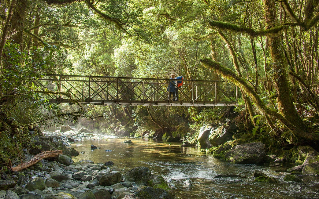Bridge over forest stream in Milford Sound, New Zealand, with hikers on a Small-Boat Cruise tour.