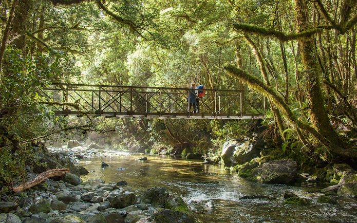 Bridge over forest stream in Milford Sound, New Zealand, with hikers on a Small-Boat Cruise tour.