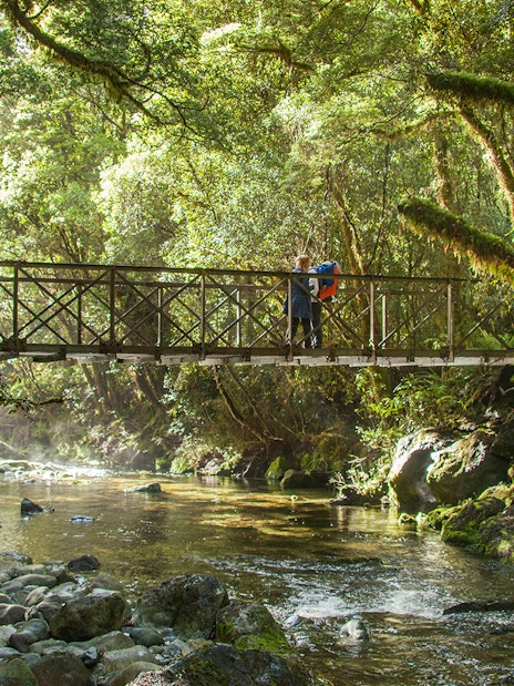 Bridge over forest stream in Milford Sound, New Zealand, with hikers on a Small-Boat Cruise tour.
