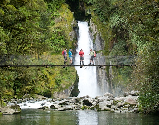 A group taking a tour of Milford Track