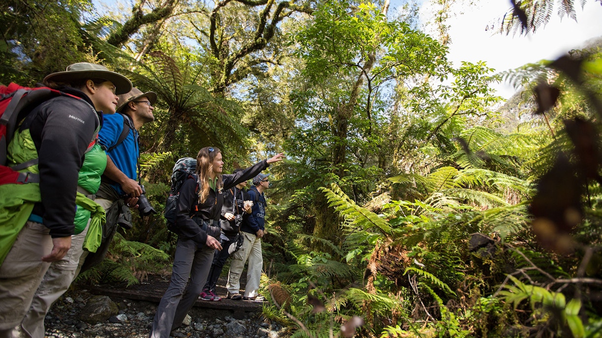 Group exploring lush forest on guided walking tour to Giant Gate Falls.